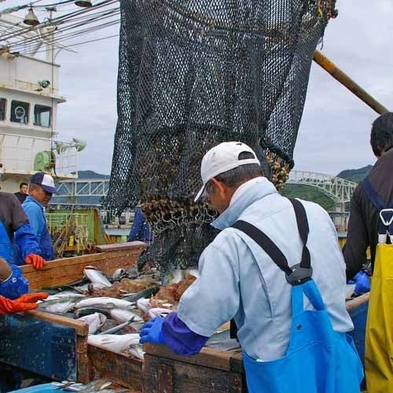 【海鮮・コース】境港産の新鮮な食材を使った量控え目なプラン【一泊二食】 